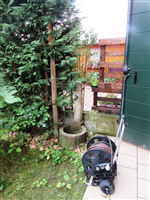 Plants: image 1 0f 4 thumb