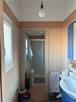 Plants: image 1 0f 4 thumb