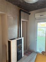 Plants: image 1 0f 4 thumb