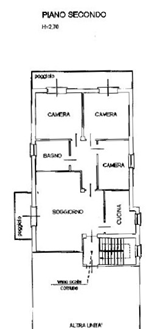 Plants: image 1 0f 4 thumb