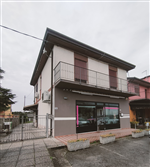 Plants: image 1 0f 4 thumb