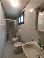 Plants: image 1 0f 4 thumb