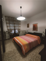 Plants: image 1 0f 4 thumb