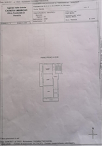 Plants: image 1 0f 4 thumb