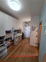 Plants: image 1 0f 4 thumb