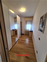 Plants: image 1 0f 4 thumb