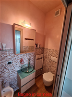 Plants: image 1 0f 4 thumb