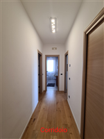 Plants: image 1 0f 4 thumb