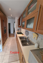 Plants: image 1 0f 4 thumb