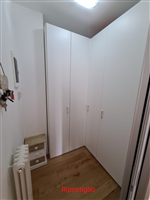 Plants: image 1 0f 4 thumb