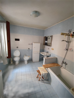 Plants: image 1 0f 4 thumb