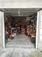 Plants: image 1 0f 4 thumb