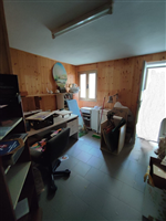 Plants: image 1 0f 4 thumb